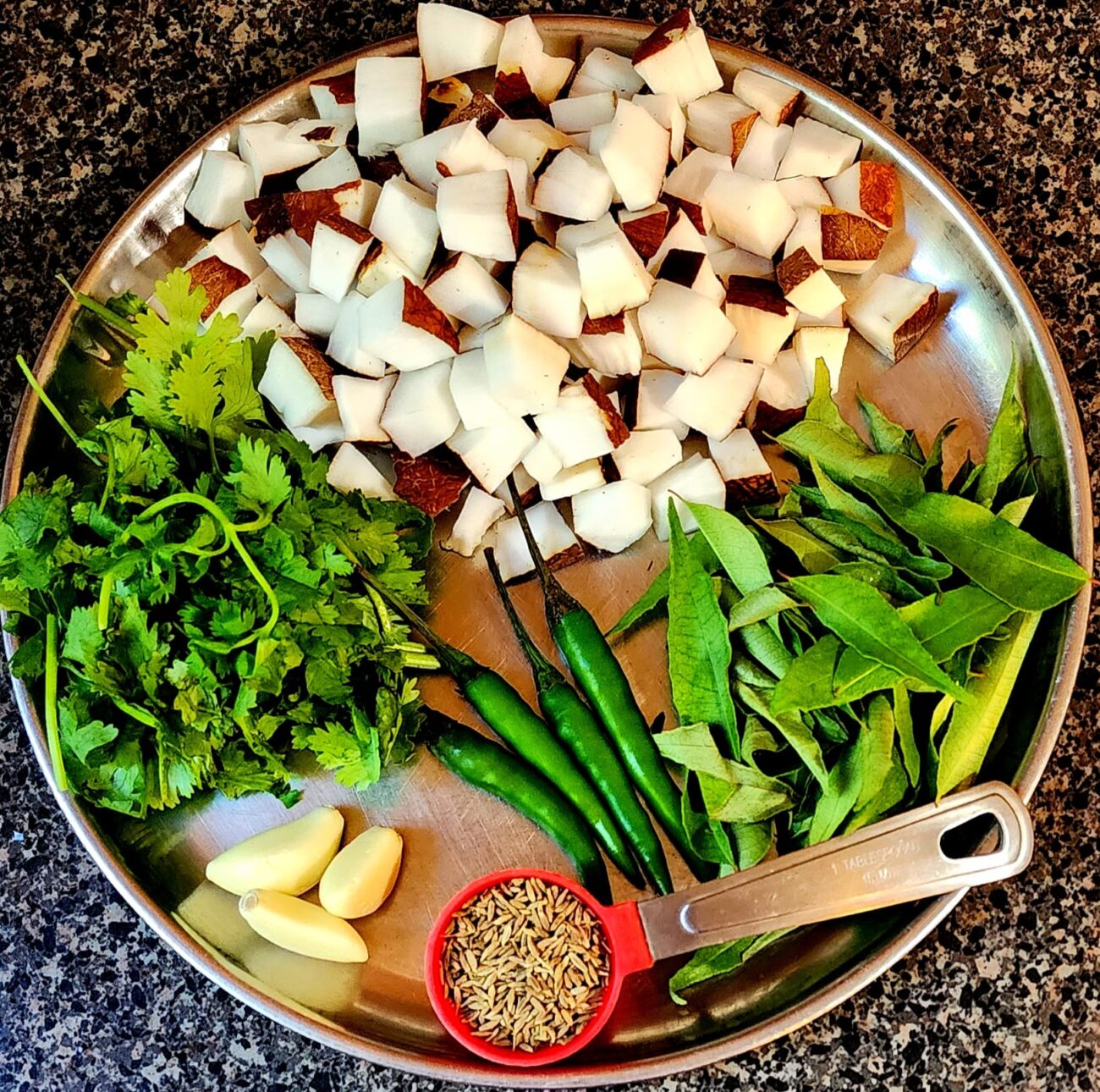 Coconut Dry Chutney Dr. Savitra