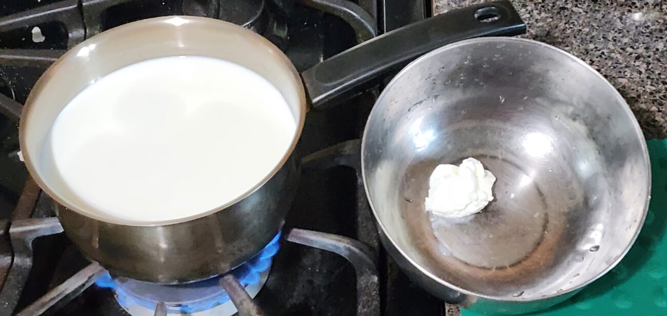 dahi-curd-dr-savitra
